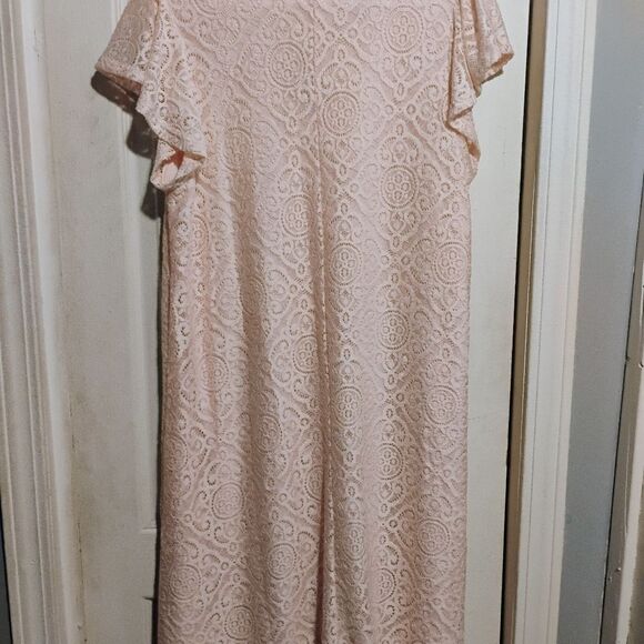 Espresso Soft Pink Lace Mini Dress - Picture 8 of 12